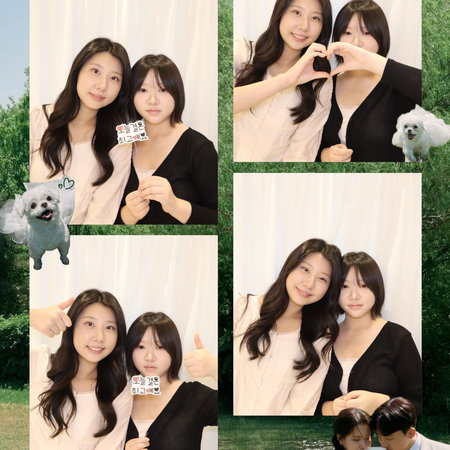 사진